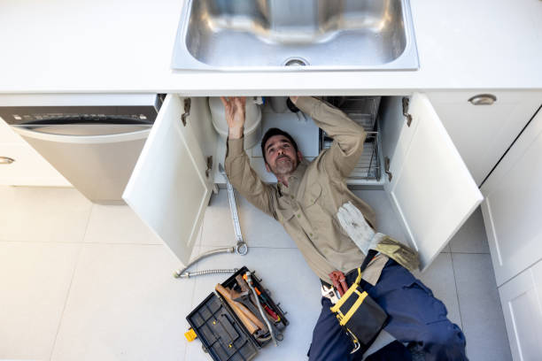 Best Local Plumber Services  in Mount Dora, FL