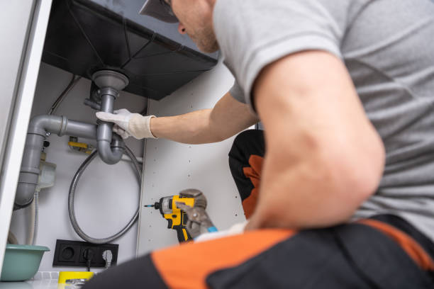 Best Residential Plumbing Services  in Mount Dora, FL